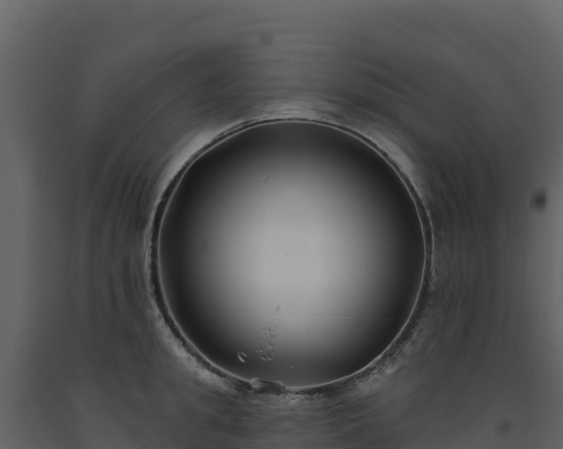 X0000093480949200710191203