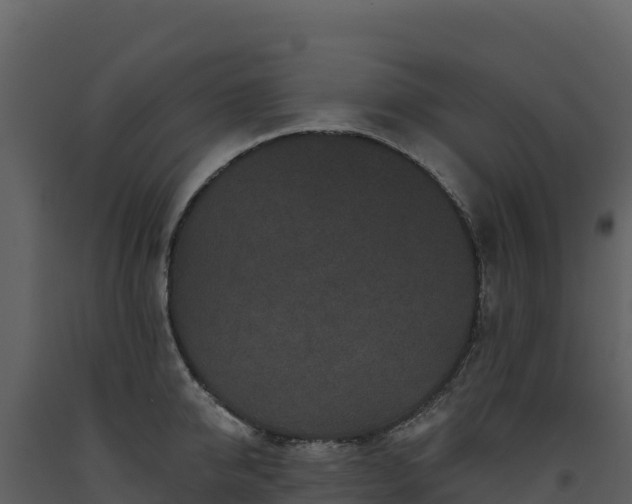 X0000093480950200710191203