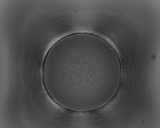 X0000093480951200710191203