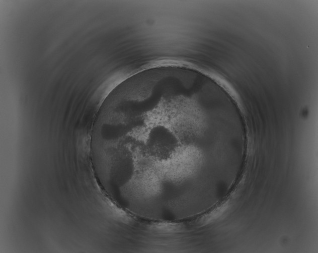 X0000093480953200710191203