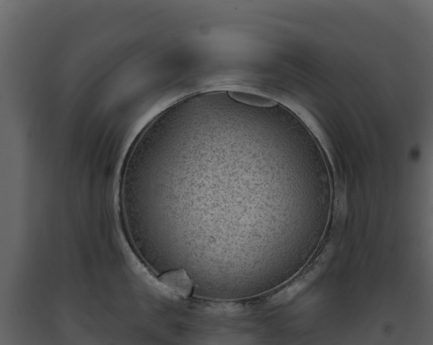 X0000093480957200710191203