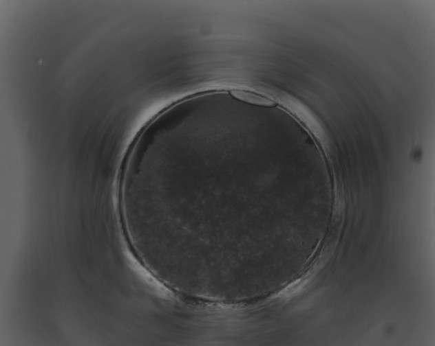 X0000093480958200710191203