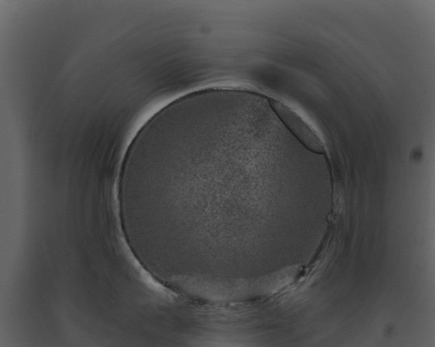 X0000093480959200710191203