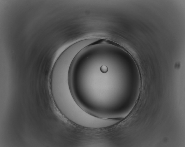 X0000093480960200710191203
