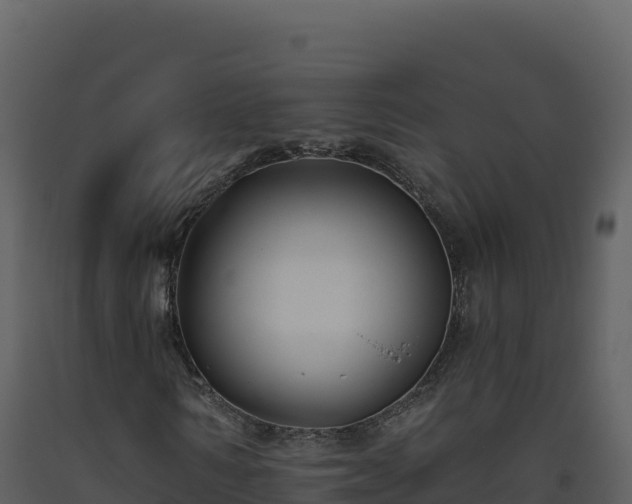 X0000093480962200710191203