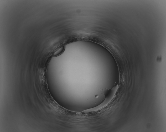 X0000093480964200710191203