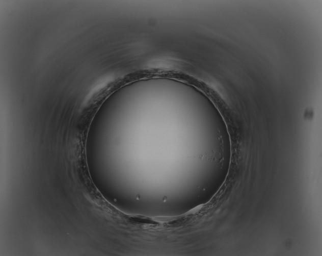 X0000093480967200710191203
