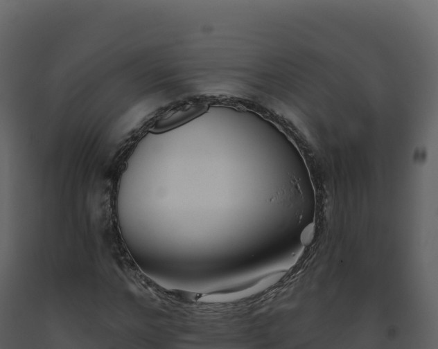 X0000093480968200710191203
