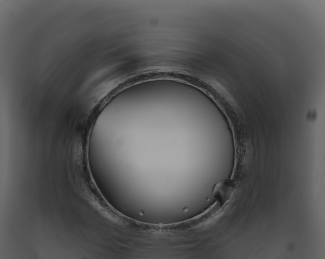 X0000093480969200710191203