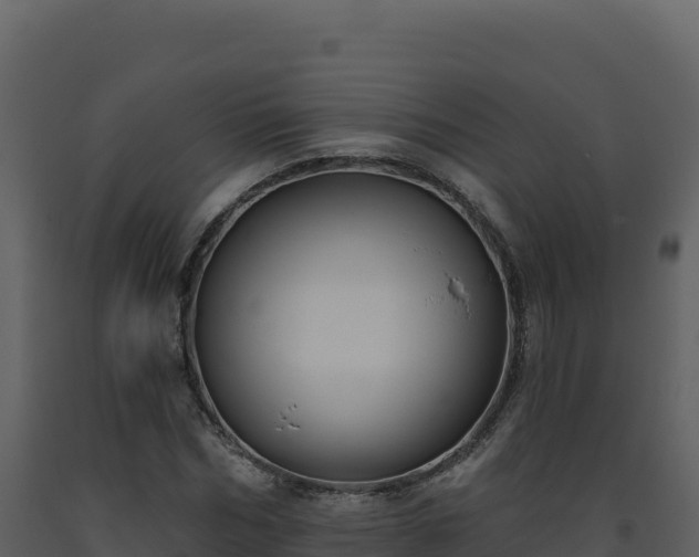 X0000093480970200710191203