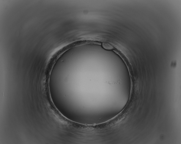 X0000093480971200710191203