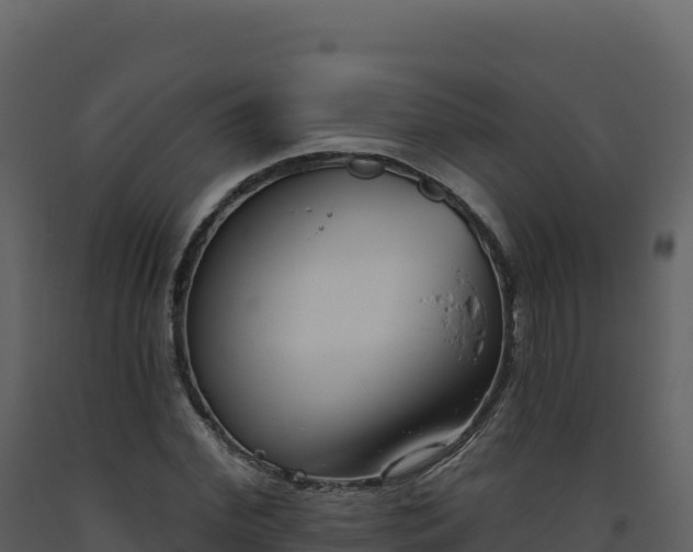 X0000093480972200710191203