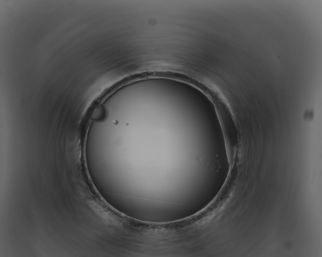 X0000093480973200710191203