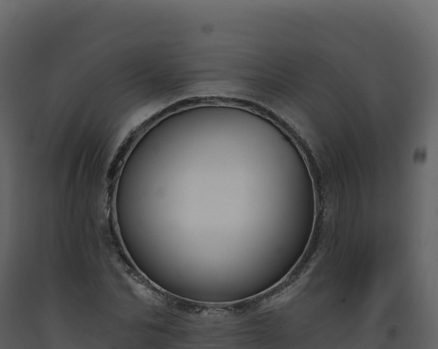 X0000093480974200710191203