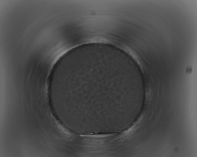 X0000093480975200710191203
