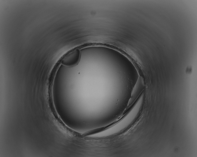 X0000093480976200710191203
