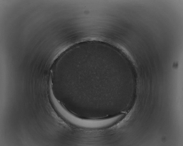 X0000093480977200710191203