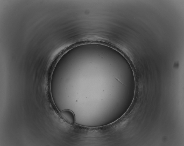 X0000093480979200710191202