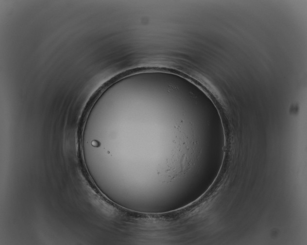 X0000093480980200710191202