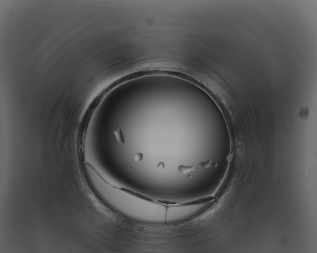X0000093480981200710191202
