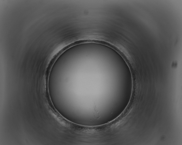 X0000093480982200710191202