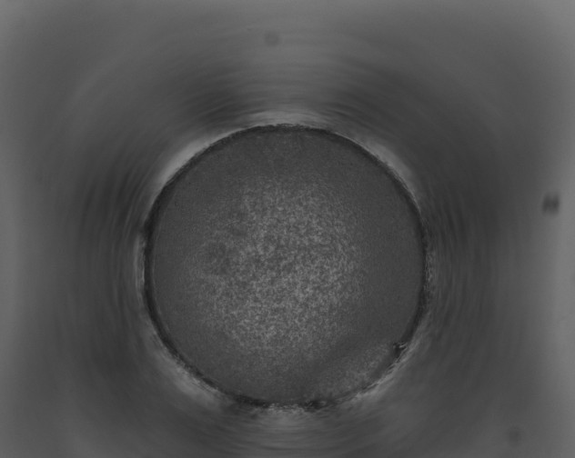 X0000093480983200710191202