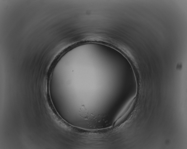X0000093480984200710191202