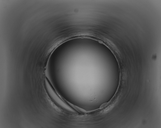 X0000093480985200710191202