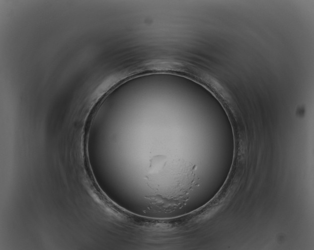 X0000093480986200710191202