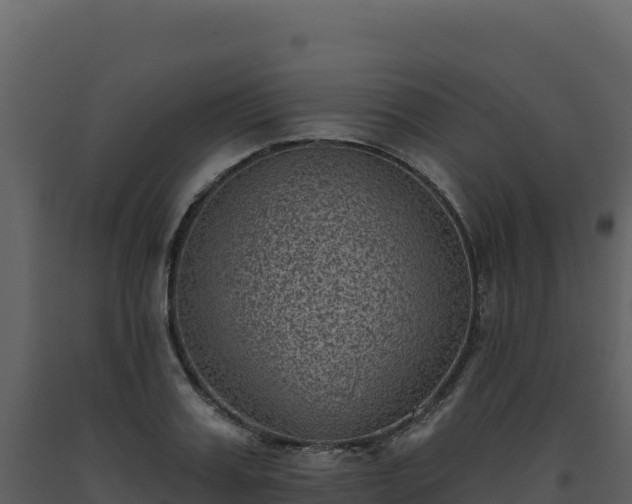 X0000093480987200710191202