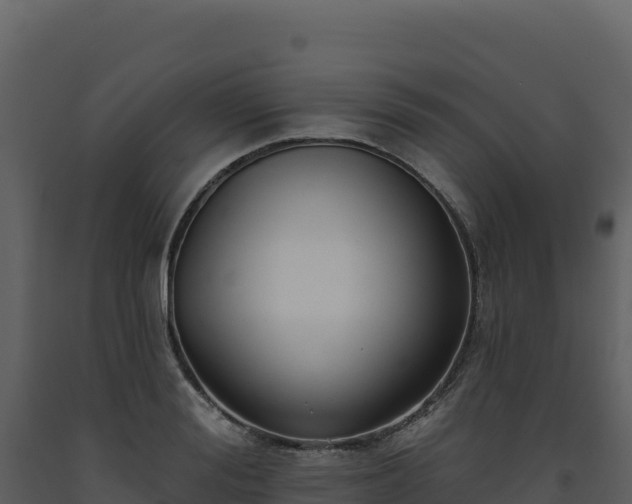 X0000093480988200710191202