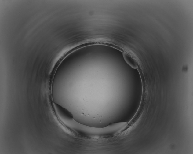 X0000093480989200710191202