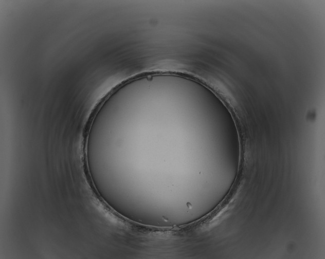 X0000093480990200710191202