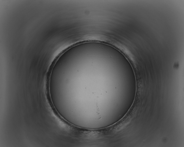 X0000093480991200710191202