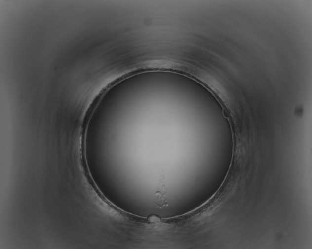 X0000093480992200710191202