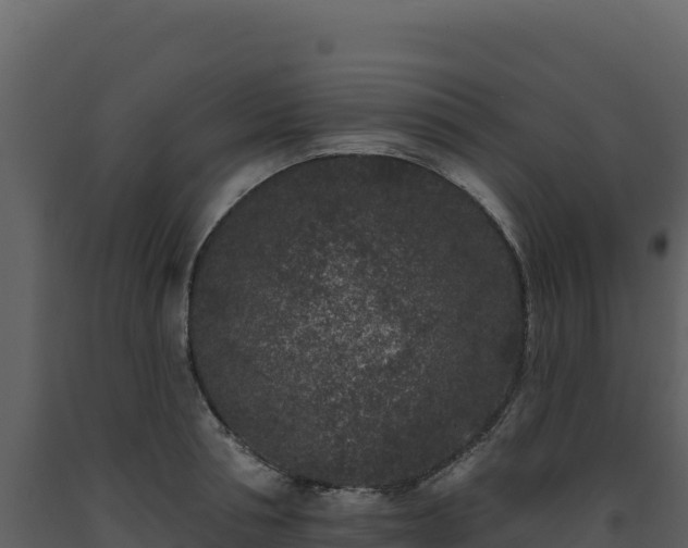 X0000093480994200710191202
