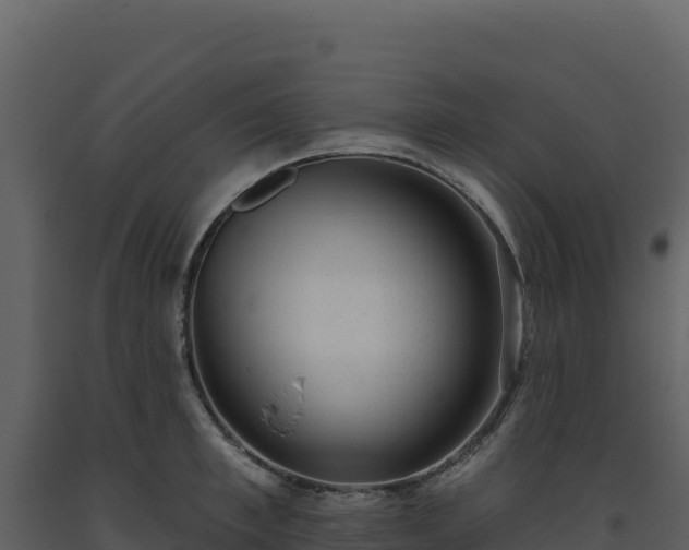 X0000093480997200710191202