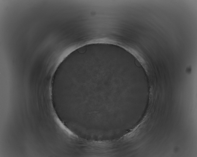 X0000093480998200710191202
