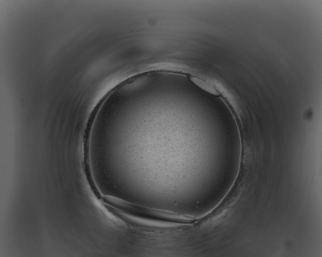 X0000093480999200710191202