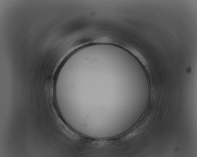 X0000093481000200710191202