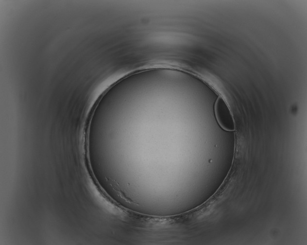 X0000093481003200710191202