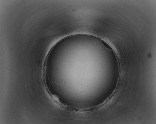 X0000093481004200710191202