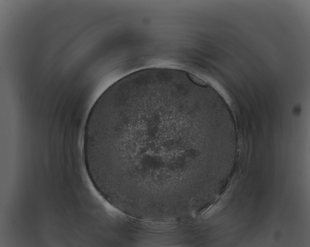 X0000093481007200710191202