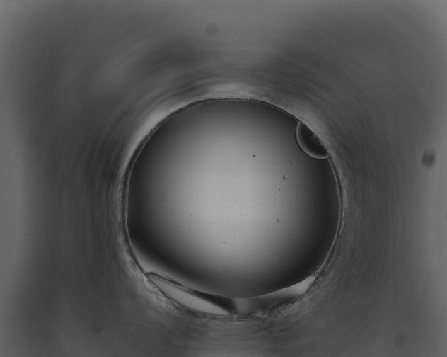 X0000093481008200710191202