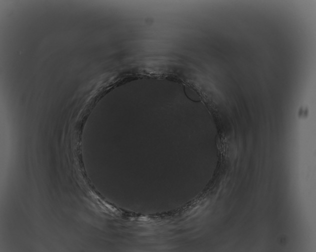 X0000093481009200710191202