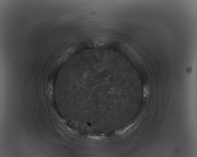 X0000093481011200710191202