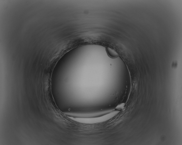 X0000093481012200710191202