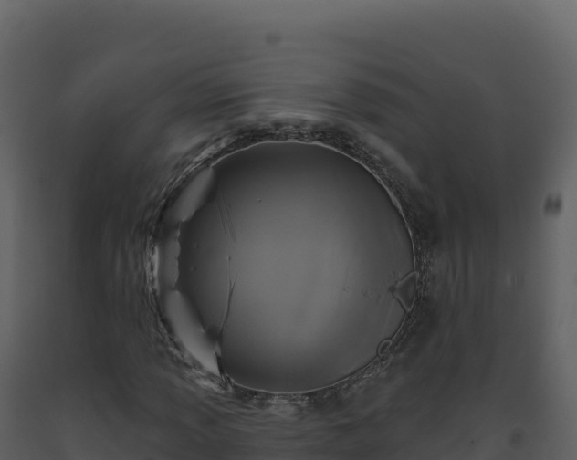 X0000093481013200710191202