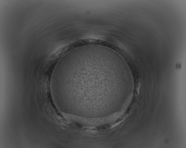 X0000093481014200710191202
