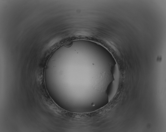 X0000093481015200710191202